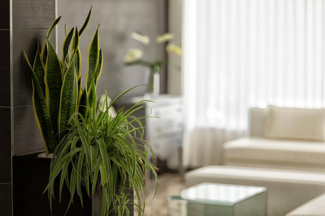 Hotel Bremen Rimini Eksteriør bilde